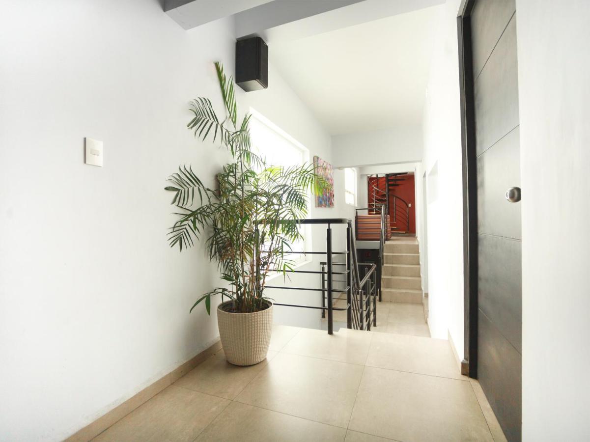 Adhoc Express Hotel Monterrey Ngoại thất bức ảnh